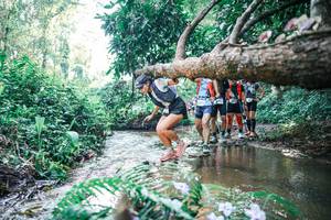 BIB: 
                            <button type="button" onclick="openModal(25448653)" class="btn btn-primary btn-sm float-right btn-popup" data-toggle="modal" data-target=".modal-high-quality">
                        <i class="fas fa-shopping-cart"></i> Add to Cart
                    </button>
                                            <button type="button" onclick="isThisMe(25448653, true)" class="btn btn-success btn-sm float-right btn-popup btn-isme hidden" data-toggle="tooltip" data-placement="bottom" title="นี่คือรูปของคุณใช่ไหม คลิกที่นี่เพื่อเอาเข้าอัลบั้ม">
                        <i class="fas fa-plus"></i> Add to album
                    </button>
                    <button type="button" onclick="isThisMe(25448653, false)" class="btn btn-warning btn-sm float-right btn-popup btn-isnotme hidden">
                        <i class="fas fa-ban"></i> Remove from album
                    </button>